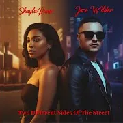 Promise Me (Feat. Shayla Dunn)